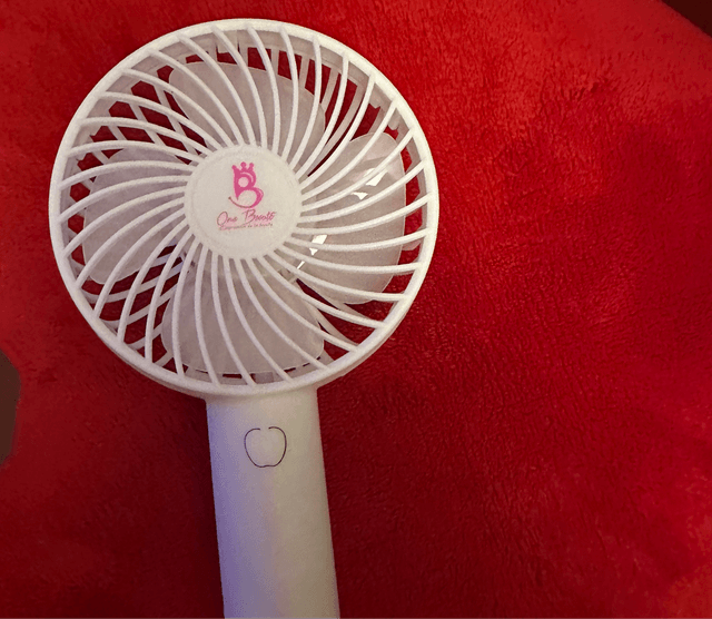 Mini ventilateur mariée 